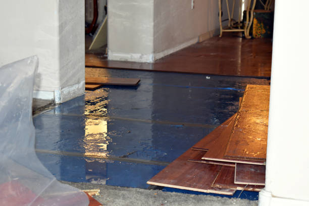 Professional Emergency Water Damage Restoration technician working in Taylors Falls, MN